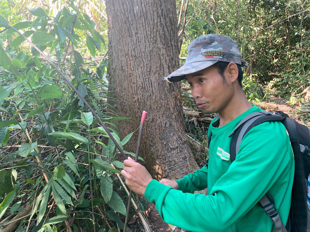 Green Discovery Laos景点图片