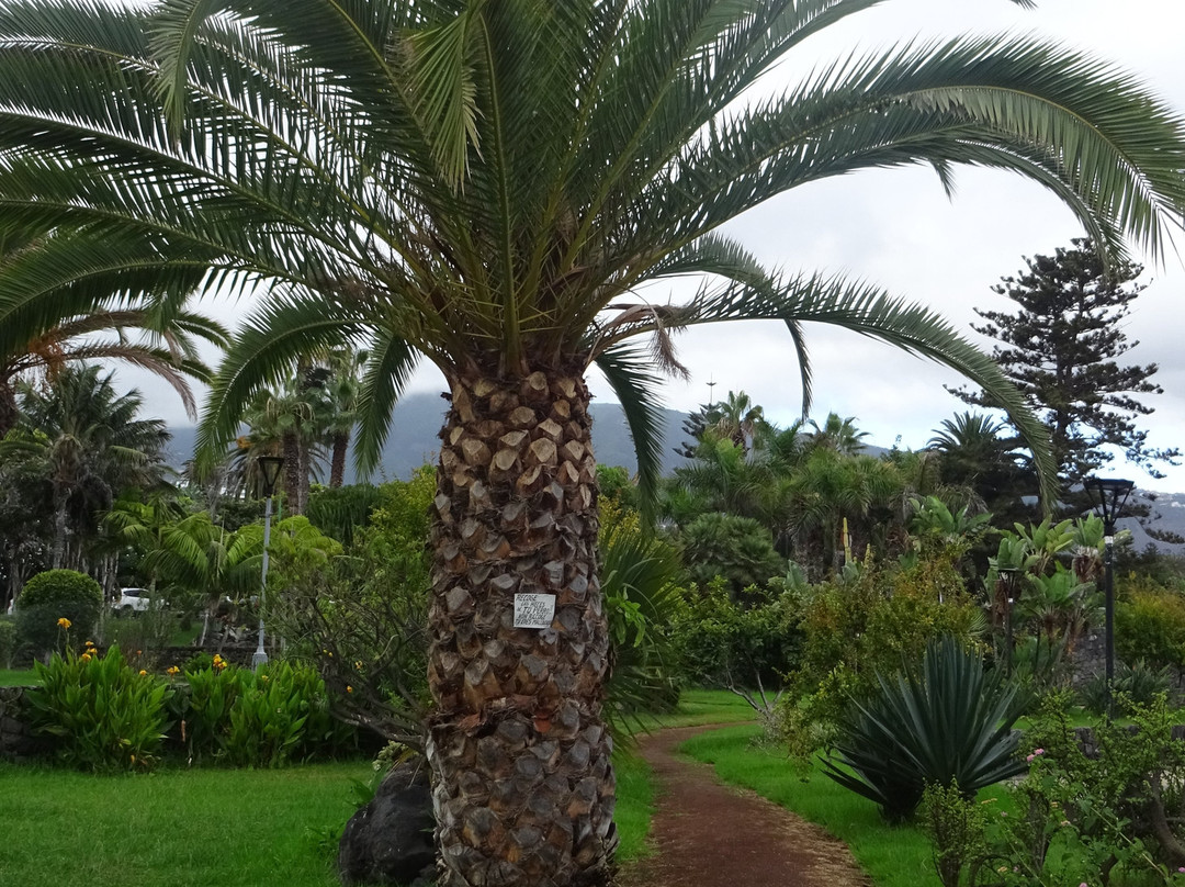 Parque Infantil de Playa Jardín景点图片