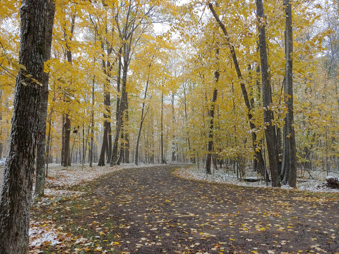 Staudemeyer's Four Seasons Resort主图