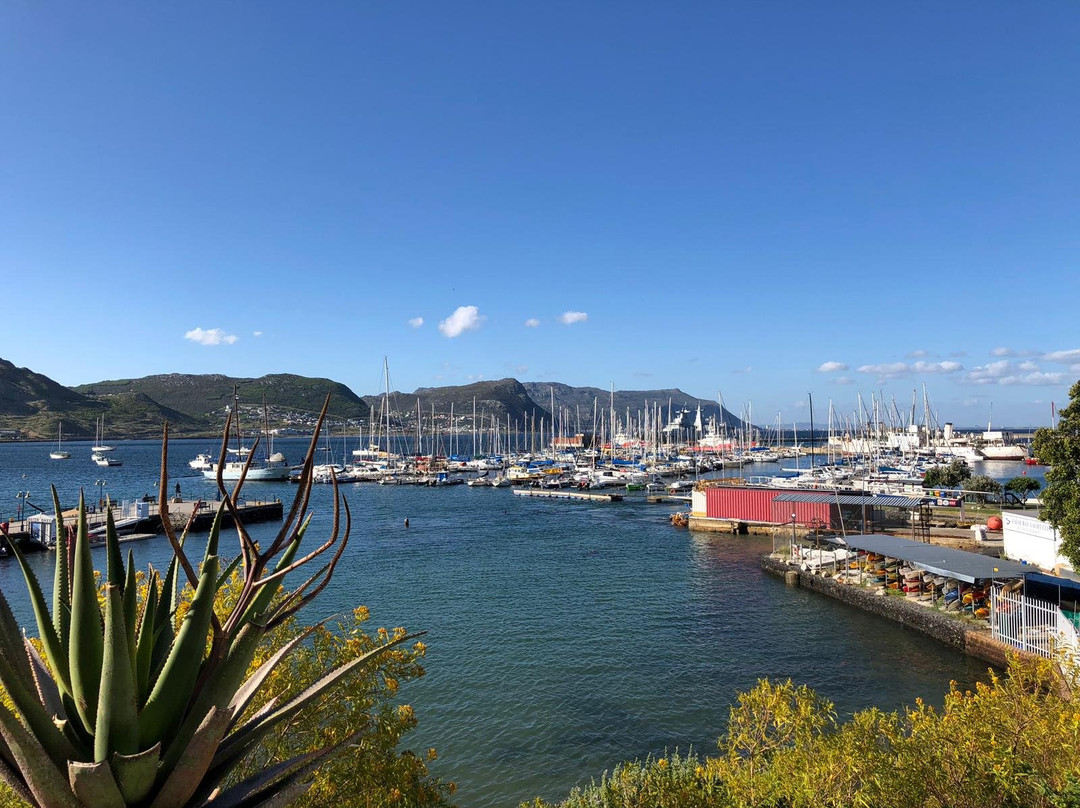 Private Cape Tours-康士坦提亚必去景点