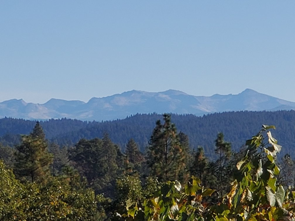 Sierra Vista Winery and Vineyards景点图片