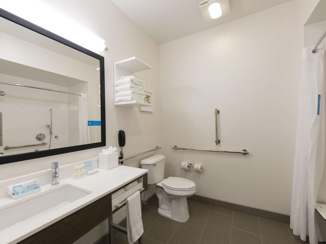 Hampton Inn & Suites East Lansing/okemos主图