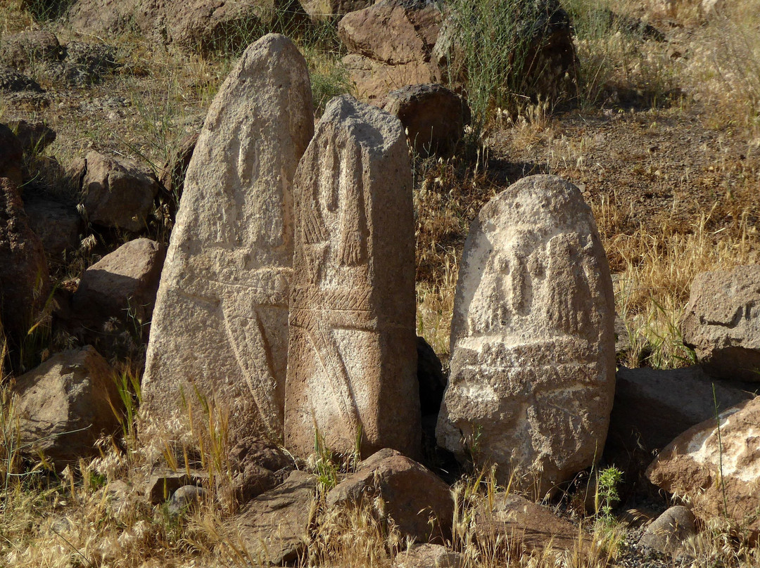 Shahr Yeri Historical Site景点图片