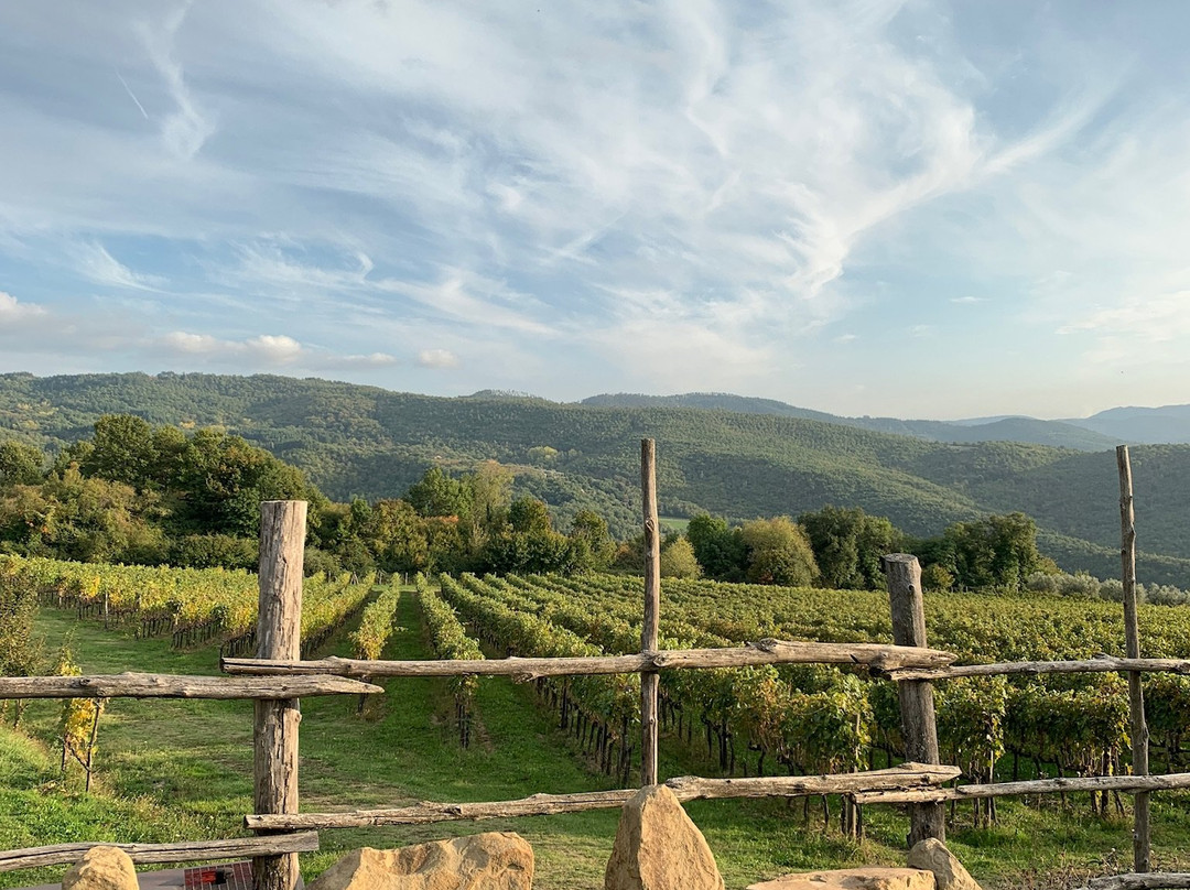 Very Tuscany-阿雷佐必去景点