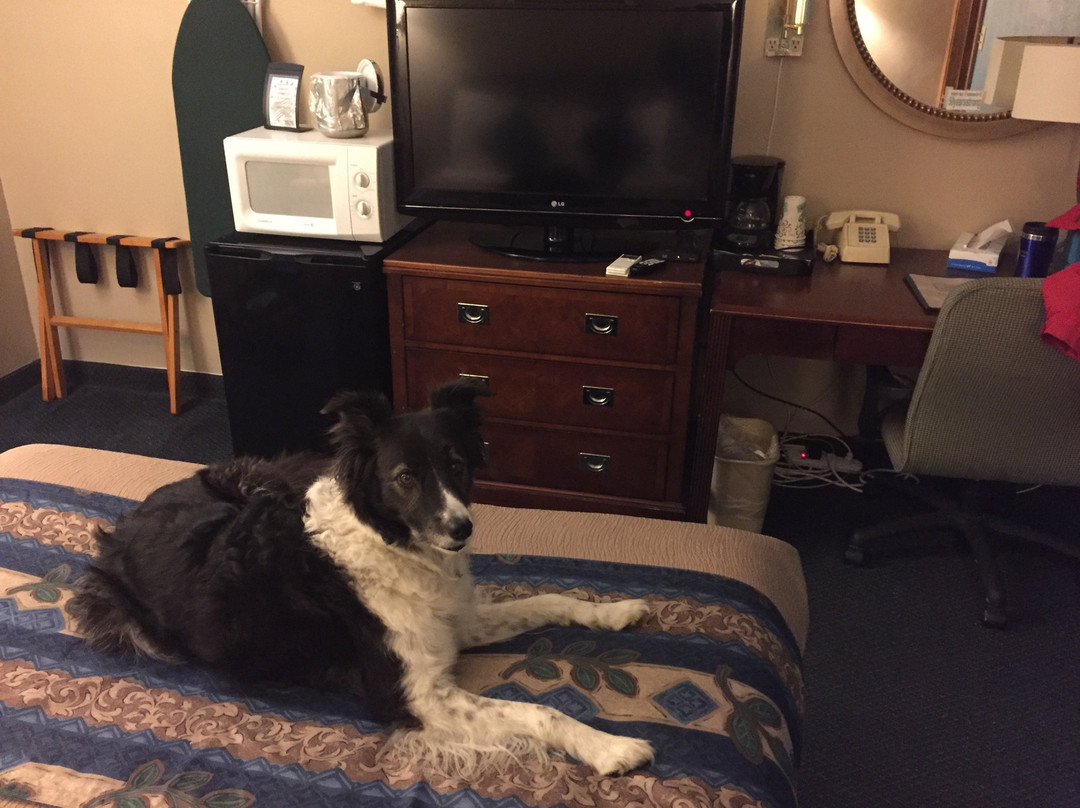 East Hills Inn & Suites主图