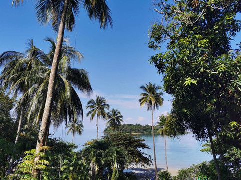 海景度假村主图