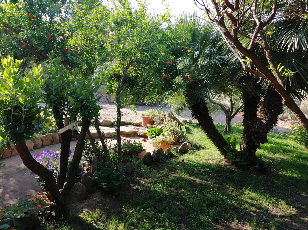 Domo Minnannu Miriu主图