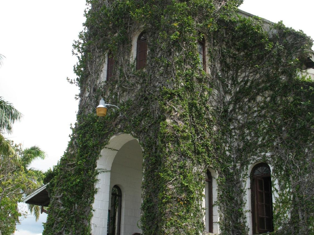 Our Lady of Perpetual Help Church景点图片