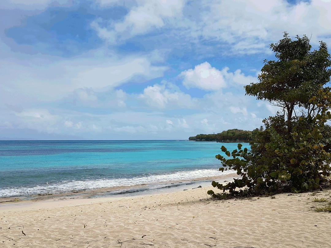 Plage du Vieux Fort景点图片