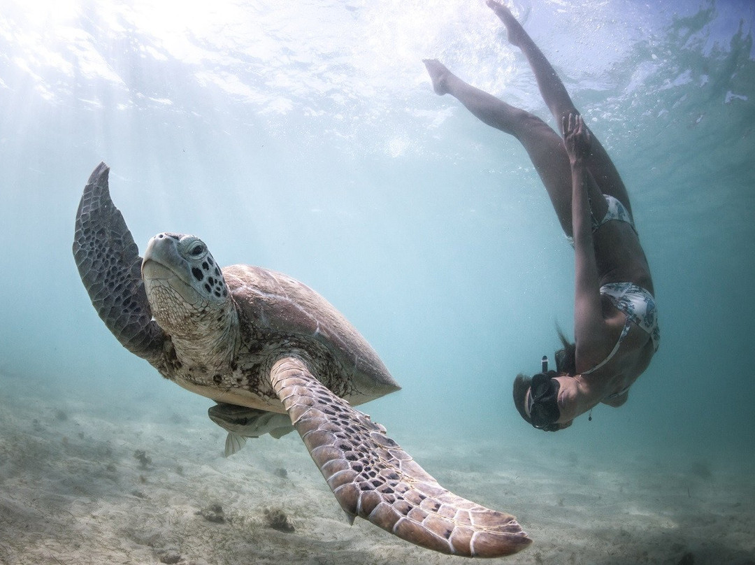 Jeff's Water Sports & Healing-Scotts Head必去景点