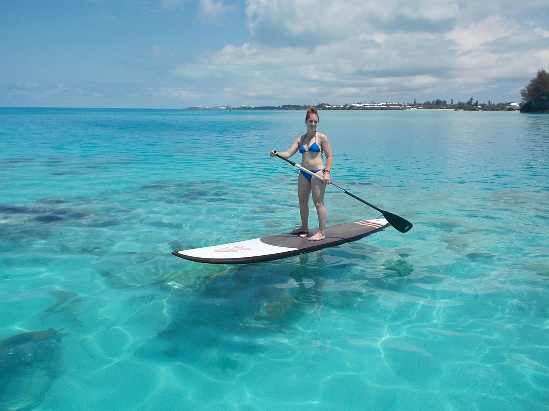 SurfSup Bermuda景点图片