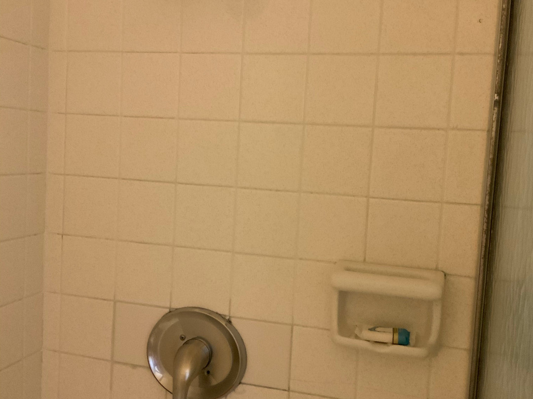 Belleair Beach Resort Motel主图