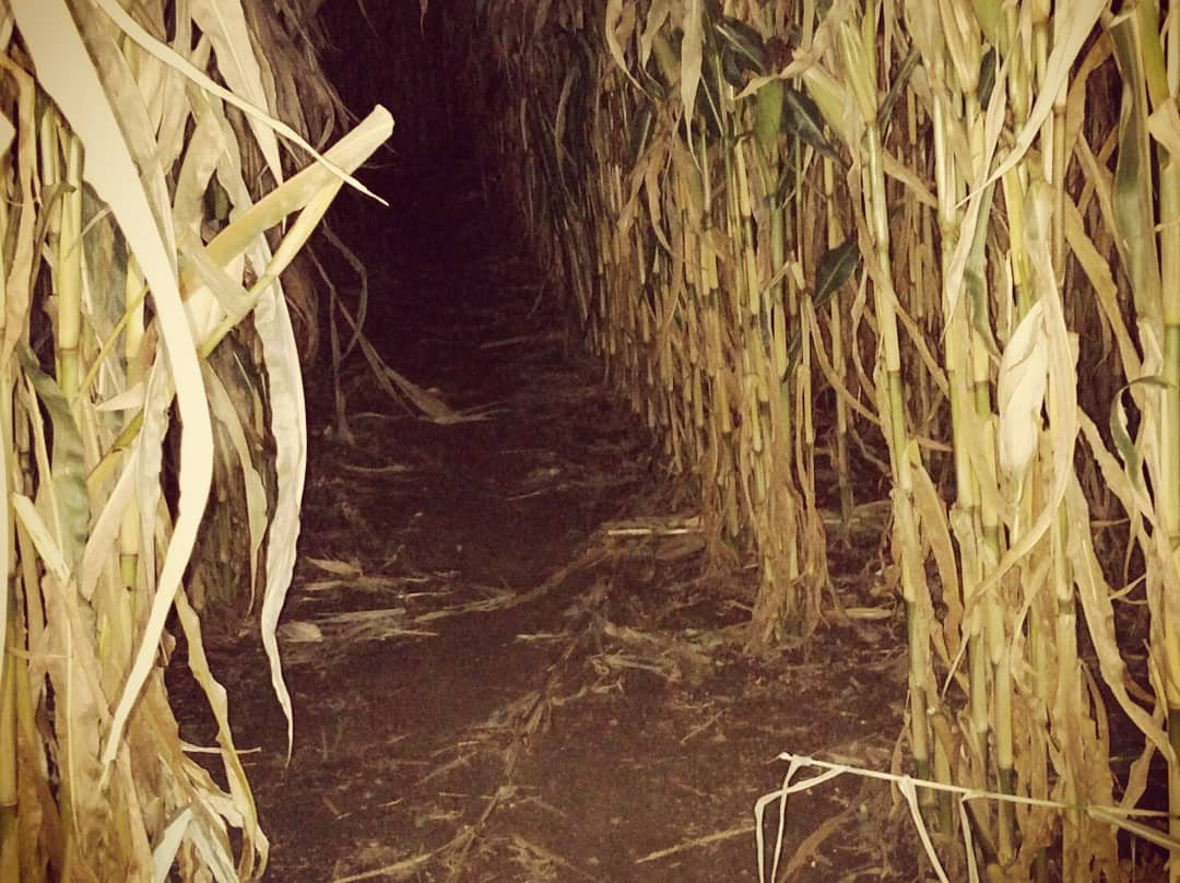 Elwood Orchards-Londonderry必去景点