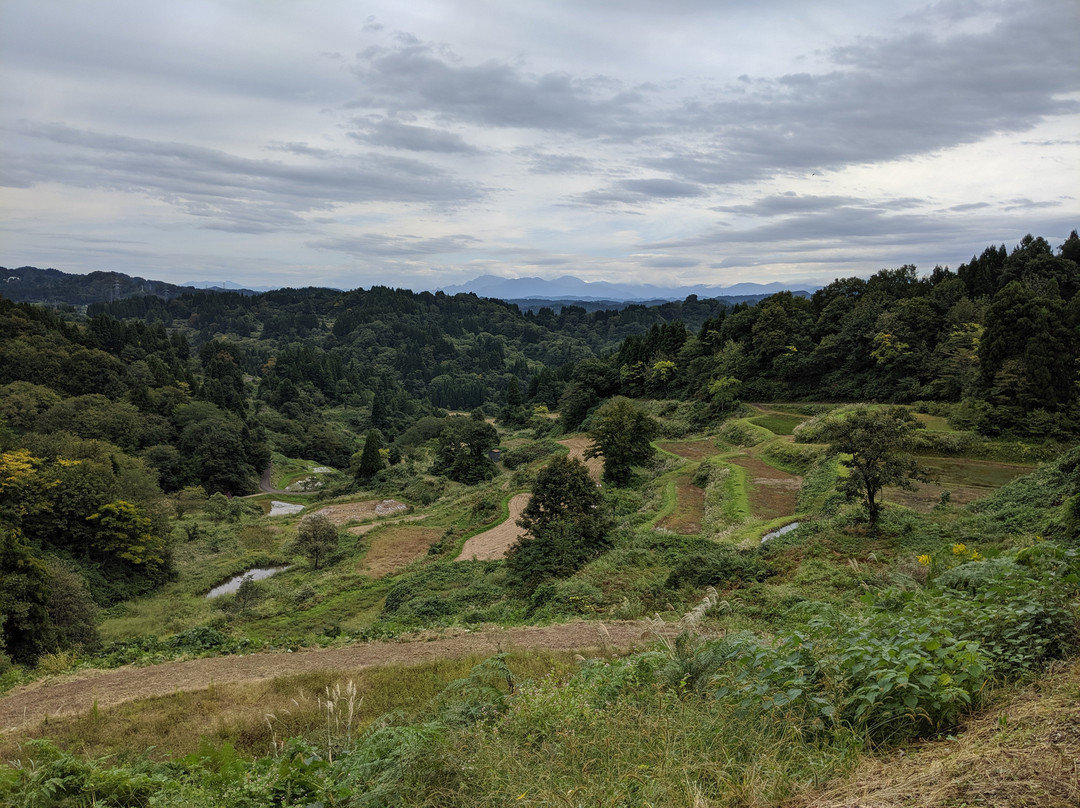 Kamou Rice Terraces景点图片