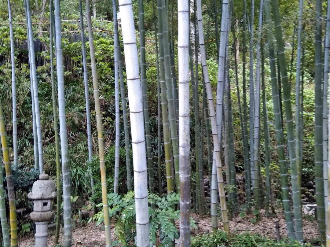 Hase-dera Temple Scenic Walkway-镰仓市必去景点