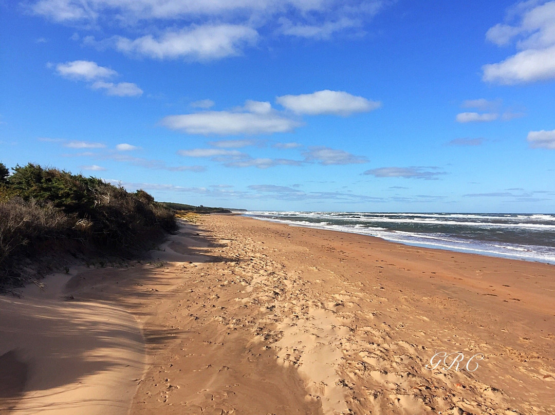 Ross Lane Beach景点图片