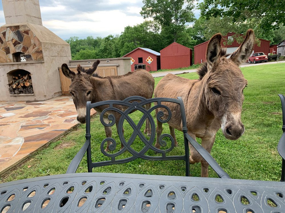 Farmhouse Sanctuary主图