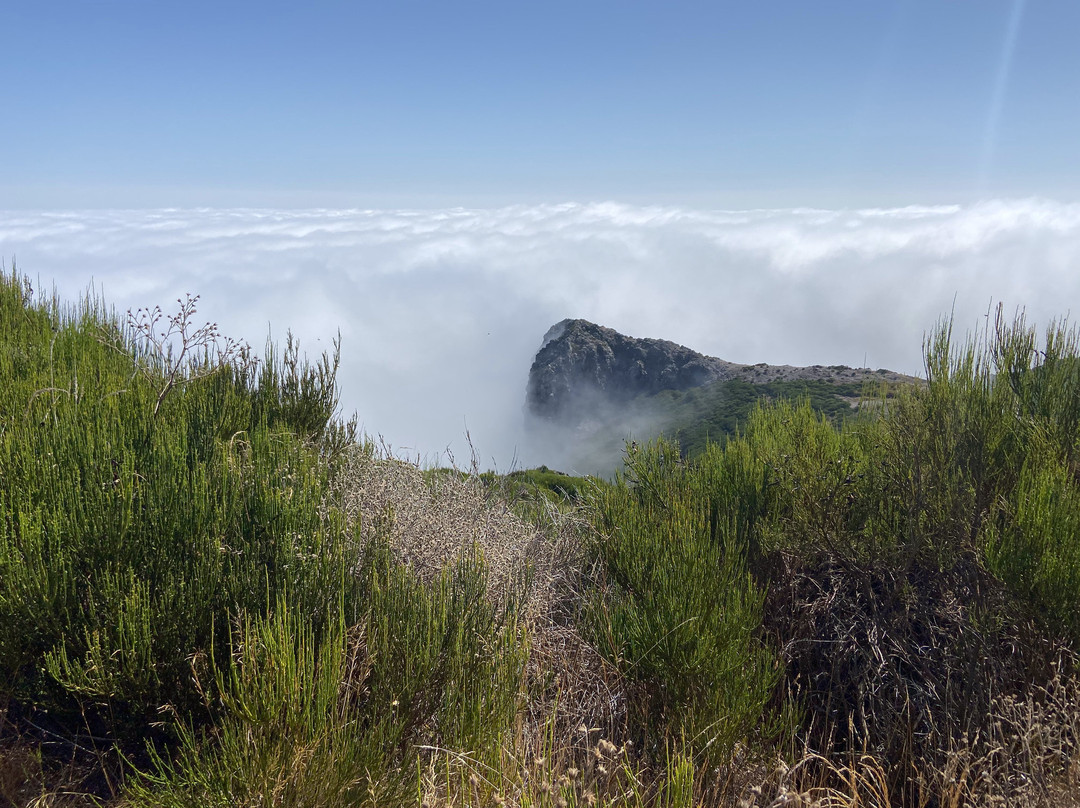 Madeira Wandern mit Christa-Canico必去景点