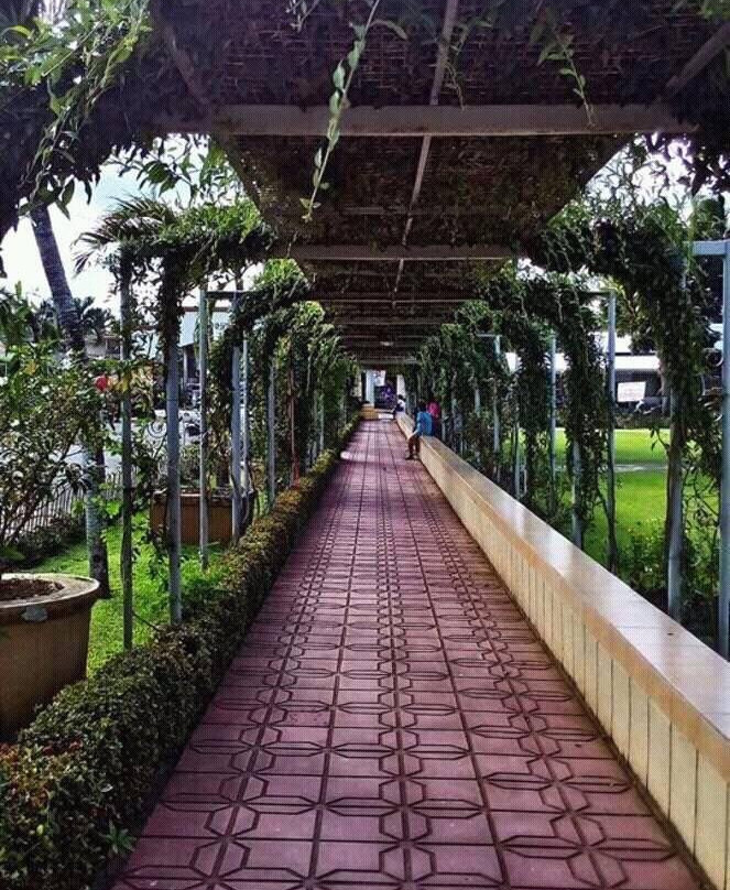 Lolet's Eco Park景点图片