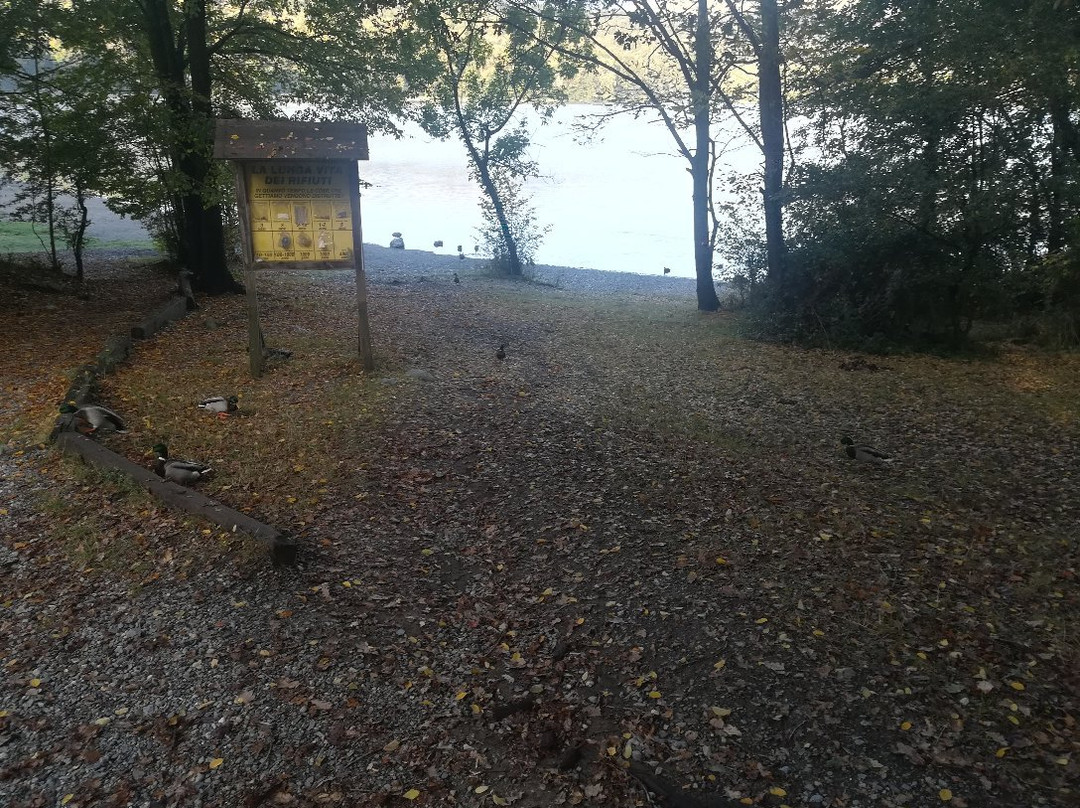 Parco Naturale dei Laghi di Avigliana景点图片