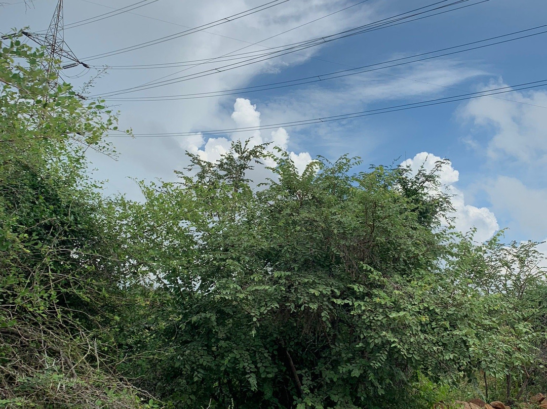 Ethipothala Falls景点图片
