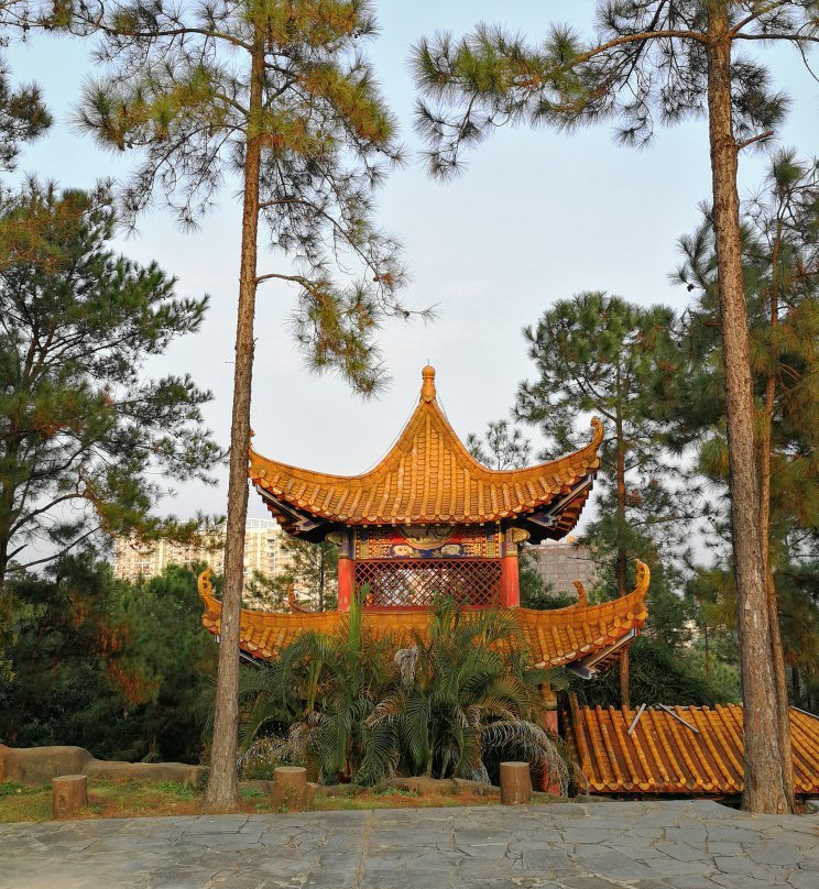 仙岛公园-钦州市必去景点