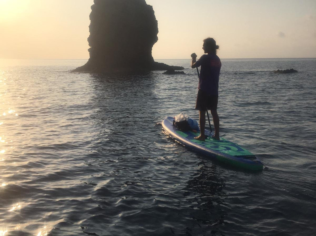 Nemely windsurf & sup center景点图片