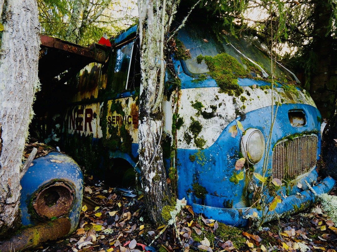 Bastnas Car Cemetery-Tocksfors必去景点