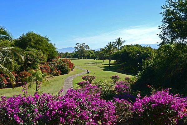 Flamingos Golf-Bucerias必去景点