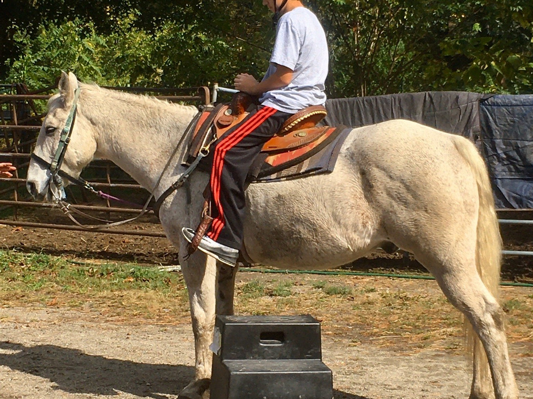 C and L Stables-West Warwick必去景点