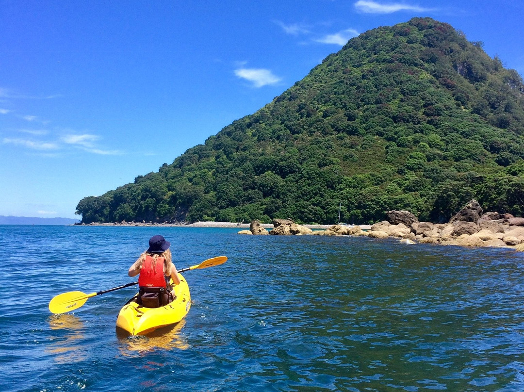 KG Kayaks - Guided Tours景点图片