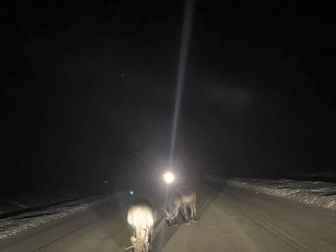 Lapland Ice Driving-Arjeplog必去景点