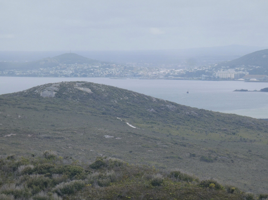 Stony Hill & Peak Head-奥尔巴尼必去景点