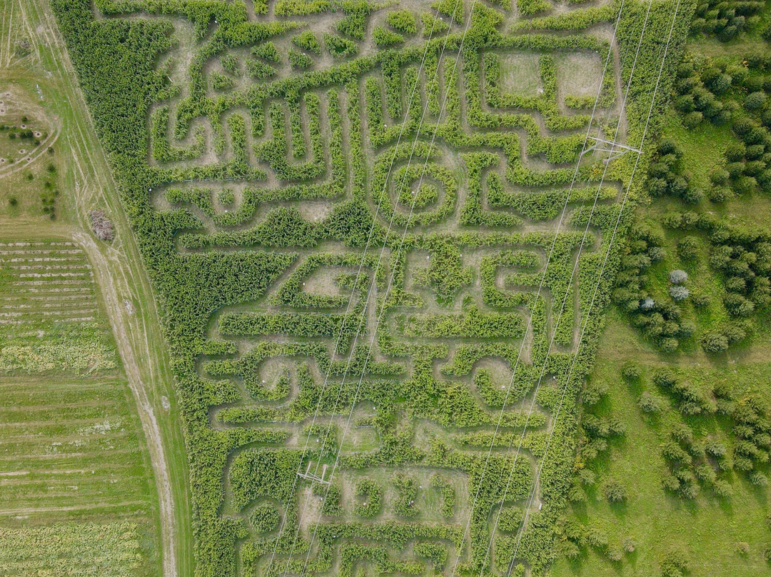 Moore Family Farm景点图片