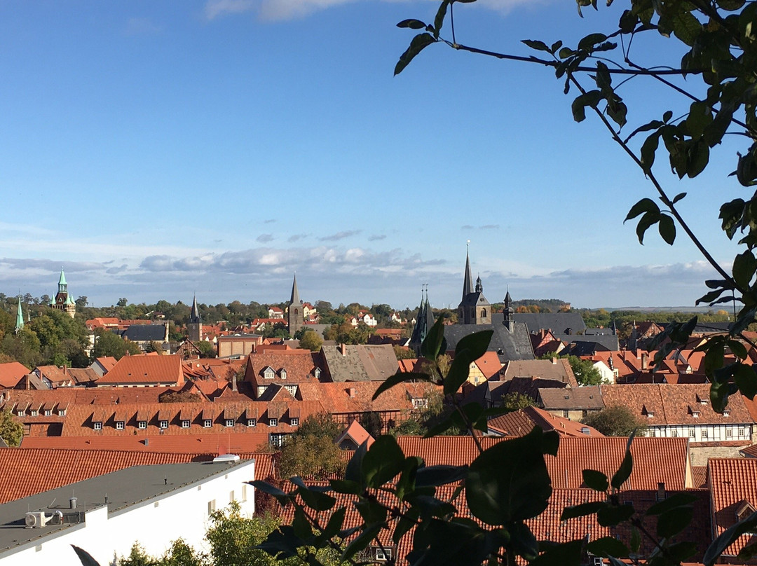 Quedlinburg Schloss景点图片