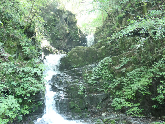 Kuzuryu Waterfall-桧原村必去景点