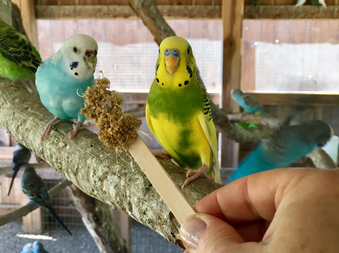 Critter Lane-Valles Mines必去景点