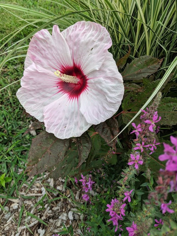 Auburn旅游景点-Southwind Park