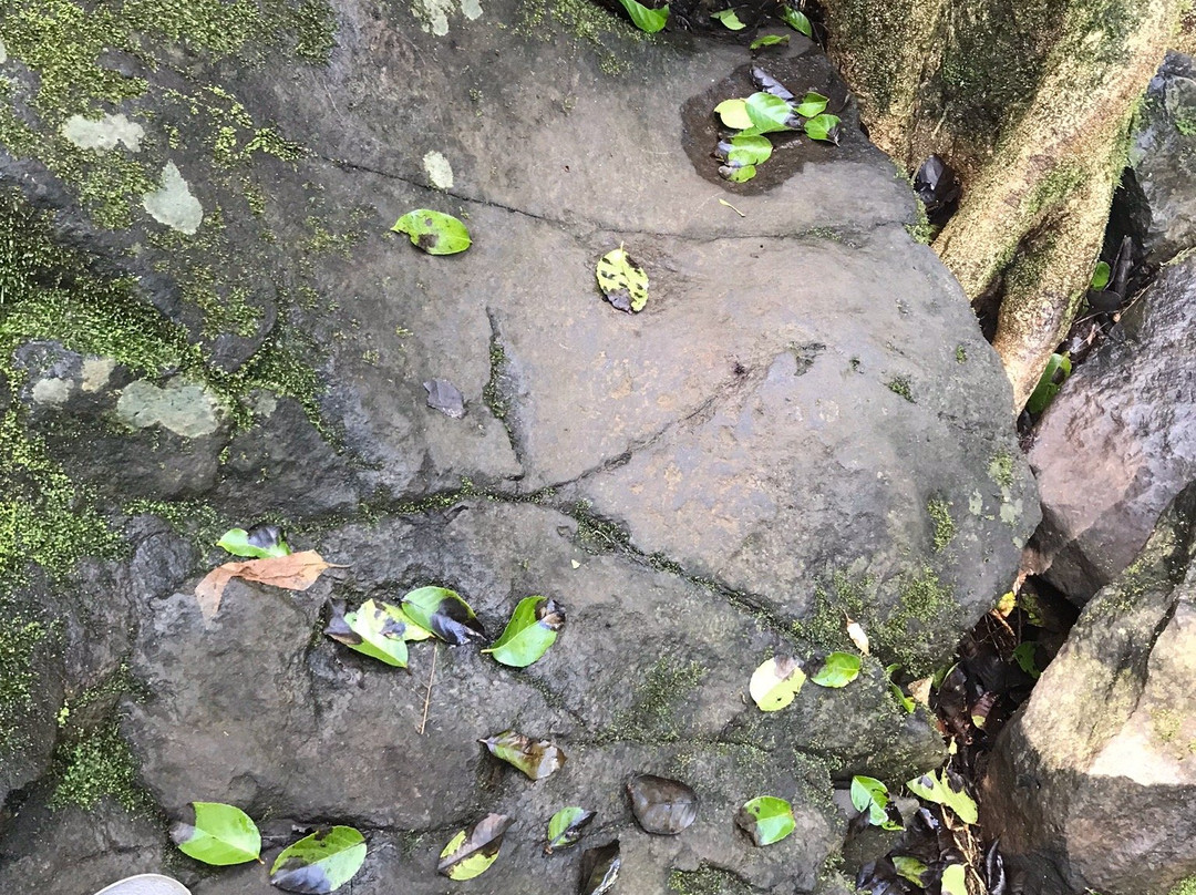 Sada Falls景点图片
