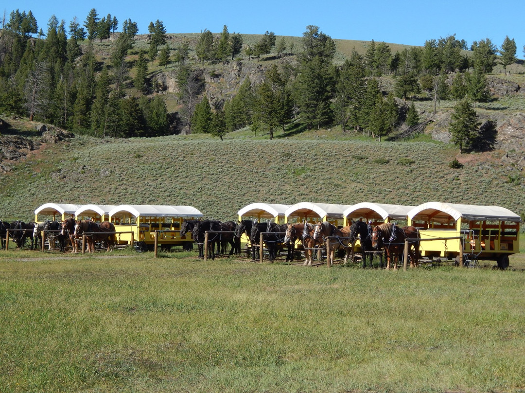 Old West Dinner Cookout-黄石国家公园必去景点