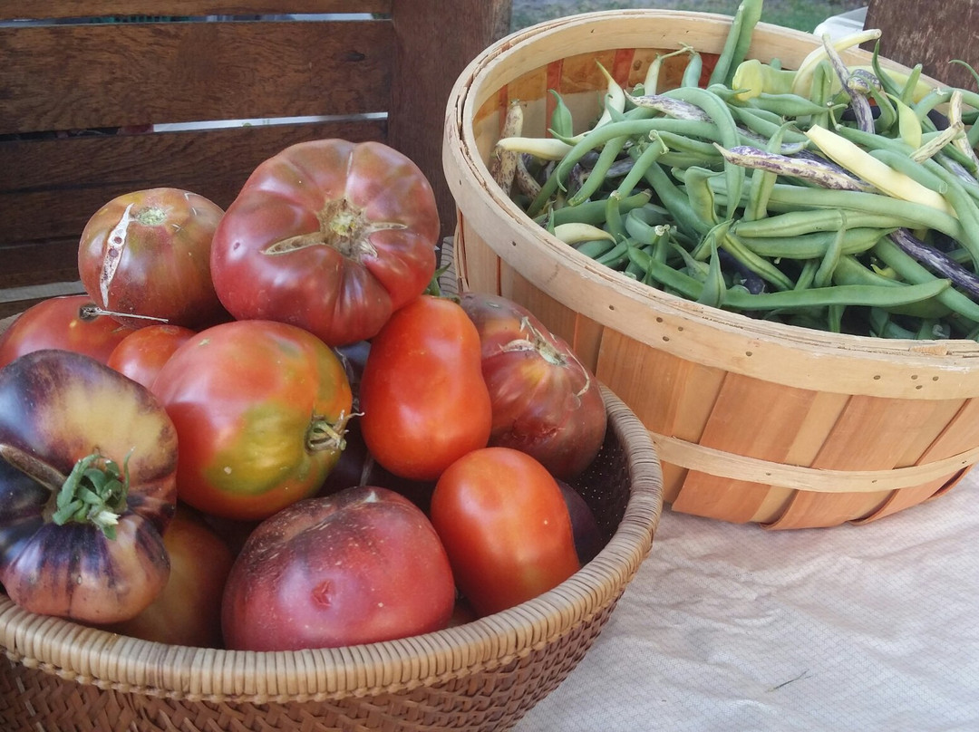 Manson Farmers Market景点图片