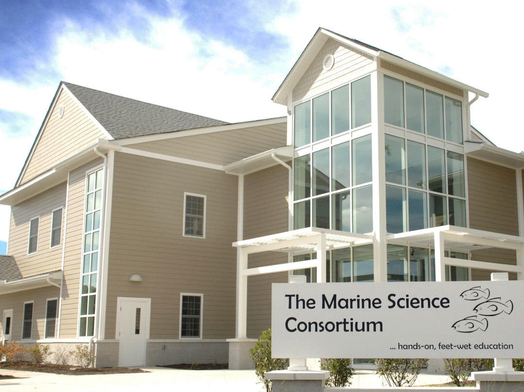 Chincoteague Bay Field Station-Wallops Island必去景点