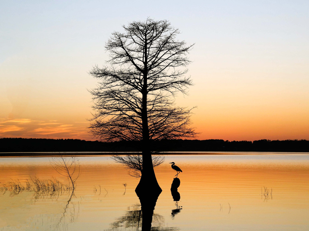 Riverbend Outfitters-Jefferson必去景点