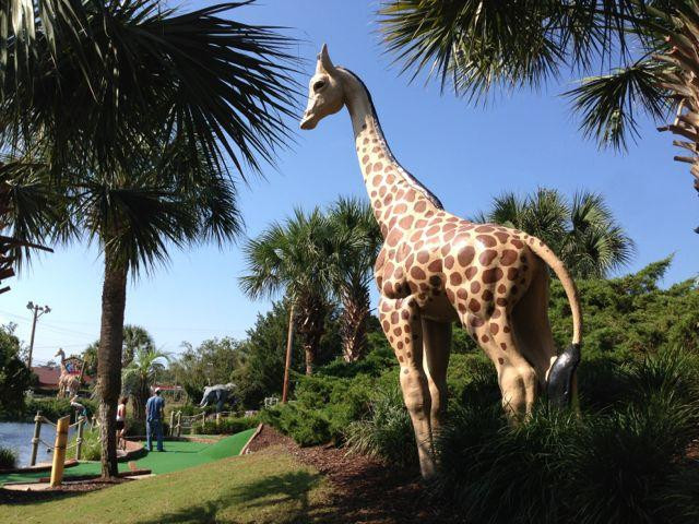 Jungle Safari Mini Golf-美特尔海滩必去景点