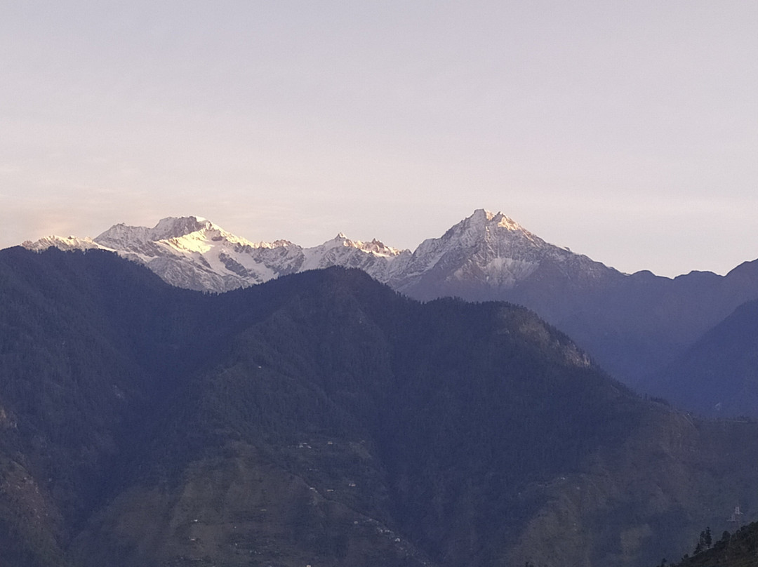 The Srikhand (HPTDC)主图