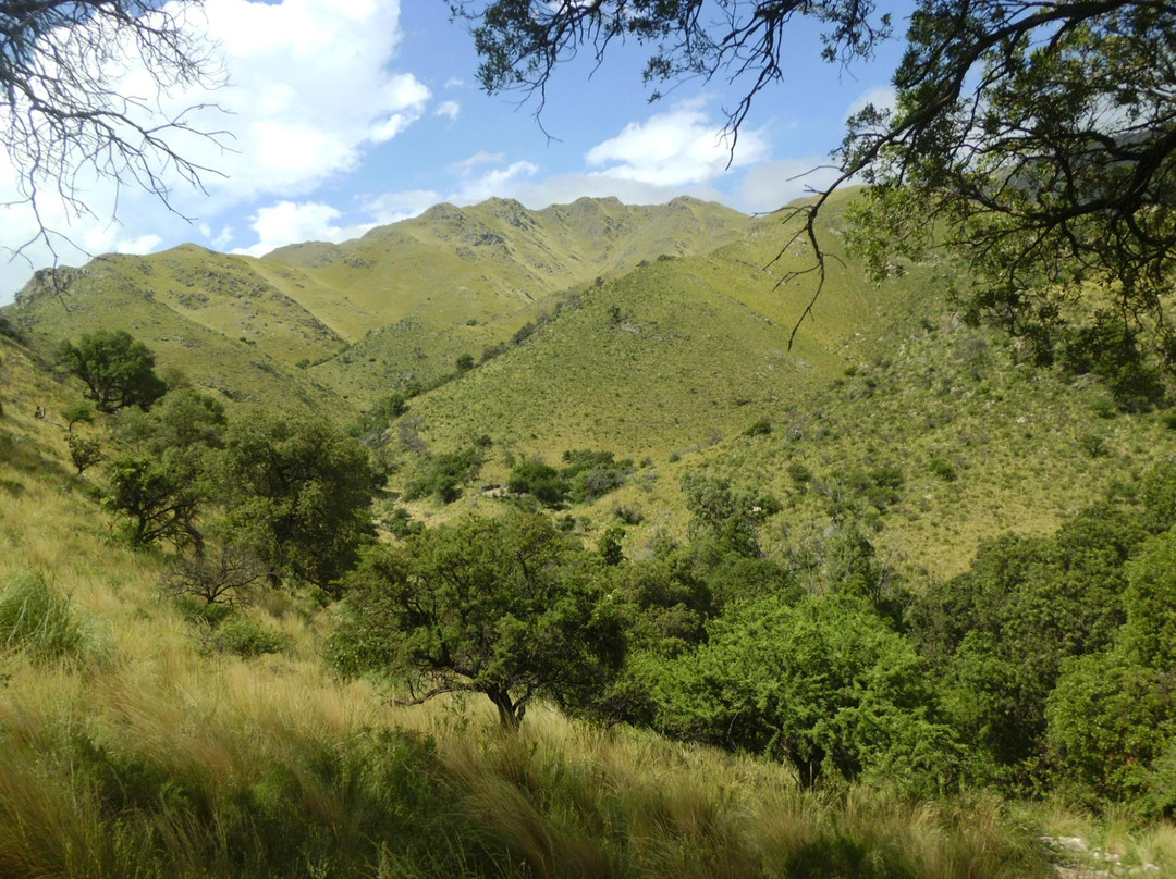 Reserva Natural Provincial Mogote Bayo景点图片