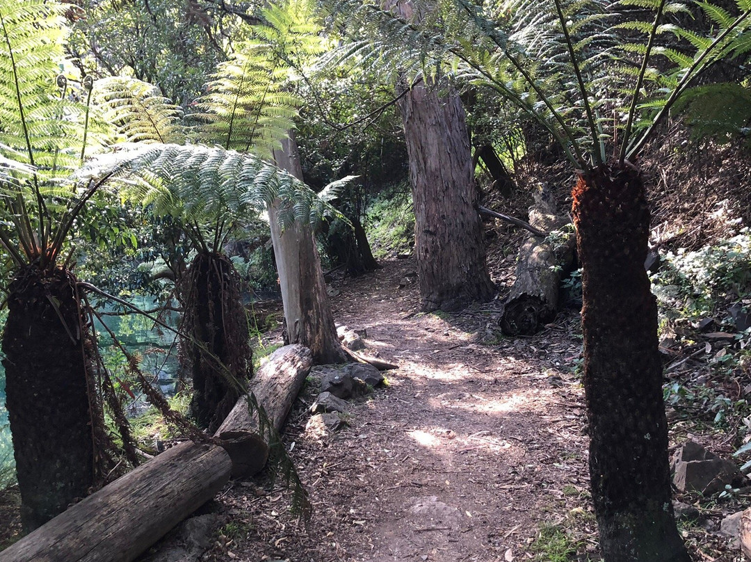 Blue Lake-珍罗兰山洞必去景点