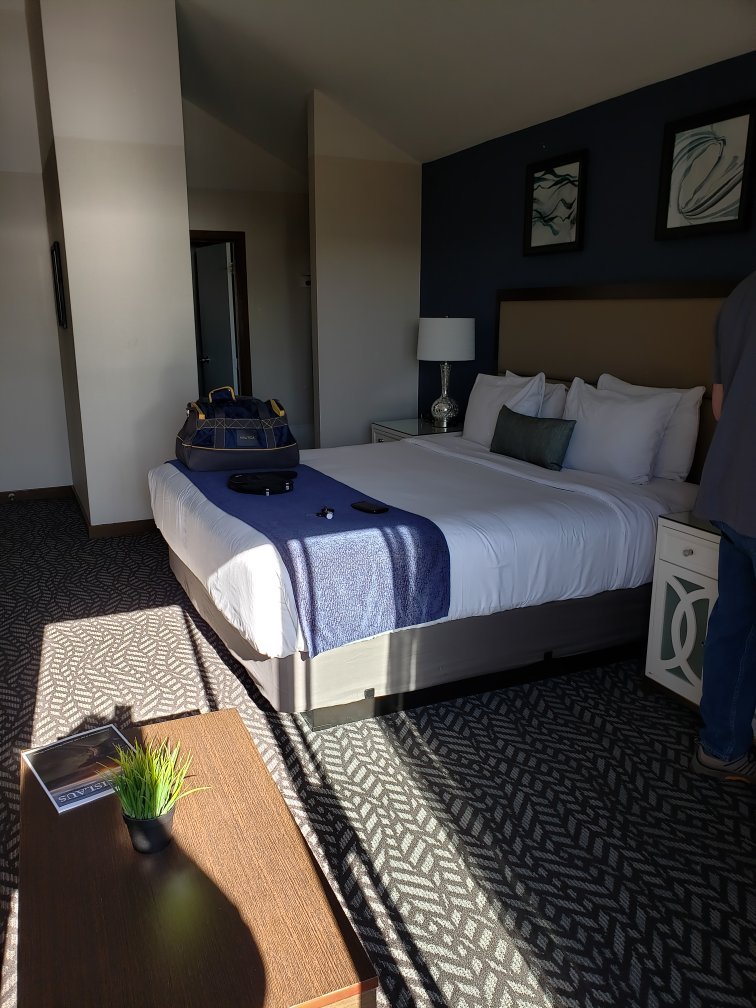 Bodega Coast Inn & Suites-官方