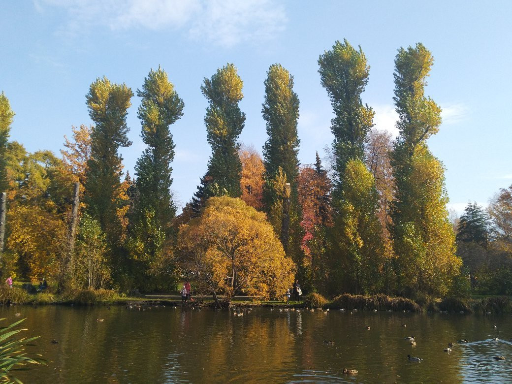 Arboretum Park Exhibition景点图片