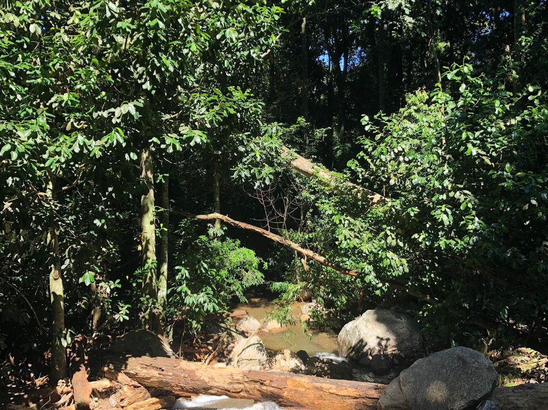 Guaratiba旅游景点-Cachoeira da Gruta do Dr. Magarinos